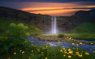 Картинка закат, цветы, водопад, Исландия
