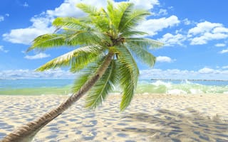 Картинка summer, tropical, берег, песок, sea, palms, paradise, sand, пальмы, shore, море, пляж, beach