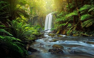 Картинка Hopetoun Falls, Австралия, лес, папоротник, Aire River, Victoria, The Otways, Australia, Great Otway National Park, водопад, река