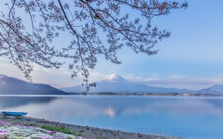 Картинка Mount Fuji, Фудзияма, Lake Kawaguchi, озеро Кавагути, Япония, озеро, Фудзи, гора, лодка, вулкан, Japan, ветки, цветы