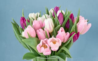 Картинка цветы, букет, тюльпаны, tulips, розовые, pink, purple, flowers