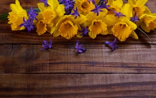 Картинка цветы, yellow, wood, нарциссы, flowers, желтые, spring