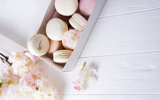 Картинка flowers, french, white, pink, pastel, macaron, макаруны