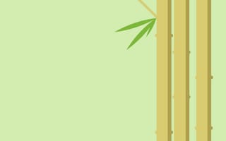 Картинка растение, листья, бамбук, стебель
