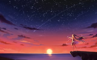 Обои арт, небо, чайки, vocaloid, закат, солнце, аниме, hatsune miku, kyuri, звезды, девушка, облака