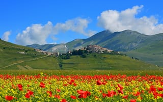 Картинка Кастеллуччо ди Норча, луг, маки, Италия, поле, горы, дома, поселок, цветы
