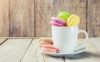 Обои colorful, french, макаруны, macaron, cup, чашка
