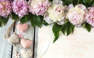Картинка цветы, peonies, пионы, romantic, pink, сердце, flowers, hearts