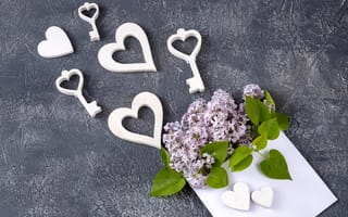 Картинка сердце, heart, romantic, flowers, сирень, lilac