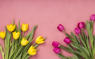 Картинка цветы, тюльпаны, pink, розовые, tulips, yellow, flowers