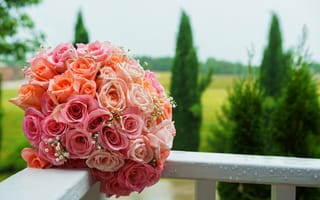 Картинка розы, bouquet, свадебный букет, pink, wedding, roses