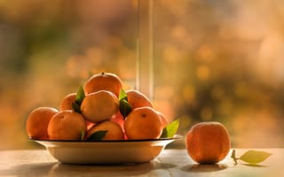 Картинка свет, стол, фрукты, еда, боке, мандарины