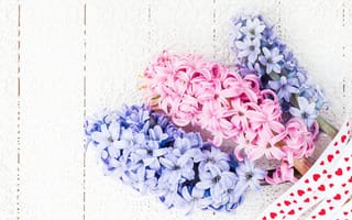 Картинка цветы, букет, pink, flowers, розовые, гиацинты, hyacinths, blue