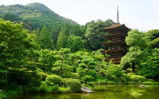 Картинка Япония, пруд, парк, природа, Yamaguchi, зелень