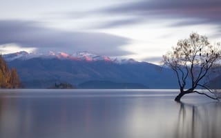 Картинка Lone Tree, дерево, горы, водная гладь, озеро, Новая Зеландия, Lake Wanaka, New Zealand, озеро Уанака, панорама