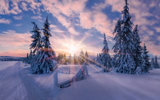 Картинка Норвегия, зима, свет, солнце, утро, снег, звезда