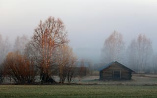 Картинка Lapland, сарай, утро, берёзы, Sweden, туман, Övertorneå