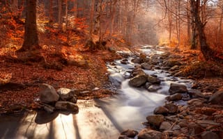 Картинка река, природа, осень, деревья