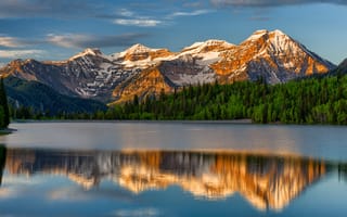 Картинка горы, лес, озеро, отражение, пейзаж, природа