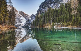 Картинка лес, вода, природа, озеро, горы, отражение, пейзаж, деревья