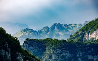 Картинка лес, деревья, sky, пейзаж, природа, trees, горы, forest