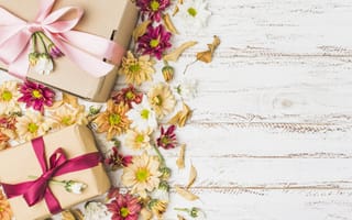 Картинка цветы, flowers, подарок, gift box, colorful, хризантемы