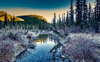 Картинка иней, Альберта, горы, Kananaskis, Канада, солнце, ручей, природа, лес, камни, небо, кусты, деревья