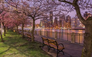Картинка деревья, ночной город, Manhattan, небоскрёбы, дома, Нью-Йорк, вишни, пролив, цветение, New York City, здания, река, Манхэттен, набережная, East River, скамейки