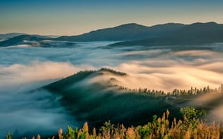 Картинка небо, деревья, утро, горы, туман