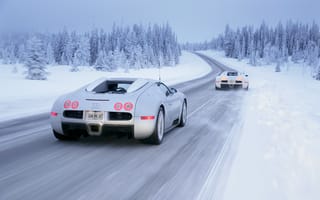 Картинка Drive, White, снег, Winter, Bugatti, Veyron, зима
