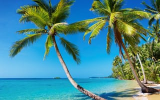 Картинка Природа, пальмы, остров, тропики, пляж, лето, море, курорт, отпуск, пейзаж, отдых