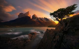 Картинка море, пейзаж, Marc Adamus, скалы, Патагония, закат, сосна, фьорд, природа, дерево
