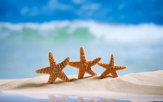 Картинка summer, пляж, starfishes, sea, морская звезда, море, sand, песок, beach, vacation