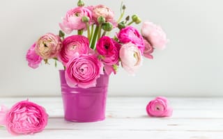 Картинка букет, розовые, рананкулюс, ведерко, лютики