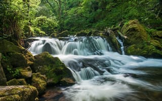 Картинка Golitha Falls, лес, каскад, England, Cornwall, Англия, River Fowey, река, Корнуолл, водопад