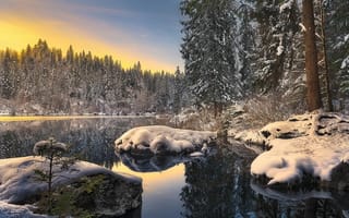 Картинка озеро, зима, лес