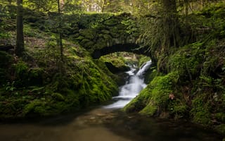 Картинка Black Forest, речка, лес, Germany, Германия, Шварцвальд, каскад, ручей, мост