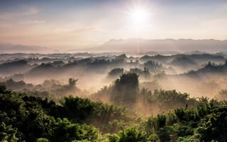 Картинка леса, утро, горы, деревья, панорама, лучи солнца, туман