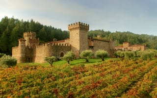 Обои Италия, деревья, трава, замок, Castello di Amorosa, поле, крепость, лес, плантация, Tuscany