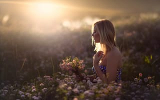 Картинка In Dreams, девушка, поле, цветы, солнце