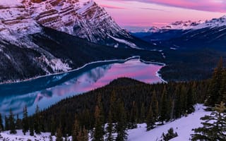 Картинка зима, лес, горы, озеро, утро, снег, Канада