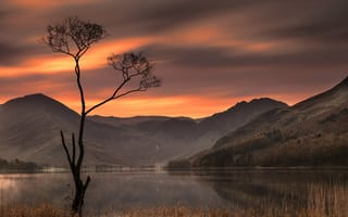 Картинка Buttermere Lake, Озёрный край, Lake District, дерево, озеро, Англия, England, горы, закат