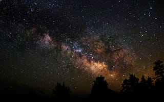 Картинка космос, пространство, тени, млечный путь, ночь, звезды, деревья