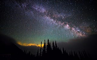 Картинка космос, звезды, деревья, небо, млечный путь, ночь, пространство