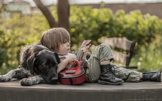 Картинка собака, друзья, гитара, ботинки, мальчик