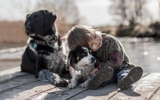 Картинка мальчик, настроение, друзья, собаки