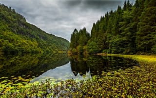 Картинка Kossdalen valley, Норвегия, озеро, Osteroy, Остерёй, лес, Norway