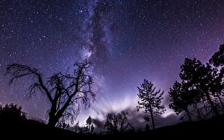 Картинка космос, тени, млечный путь, звезды, ночь, деревья