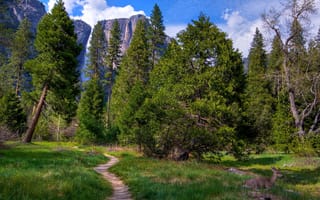 Картинка США, Национальный парк Йосемити, тропинка, лес, скалы, деревья, зелень, горы, водопад, трава, поляна, Калифорния, Yosemite National Park