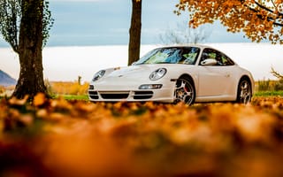 Картинка foliage, осень, tree, небо, листья, autumn, белый, порше, Porsche, 911, sky, white